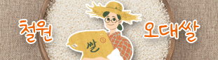 철원 오대쌀