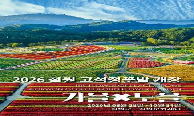 철원 고석정 꽃밭 오는 28일 개장